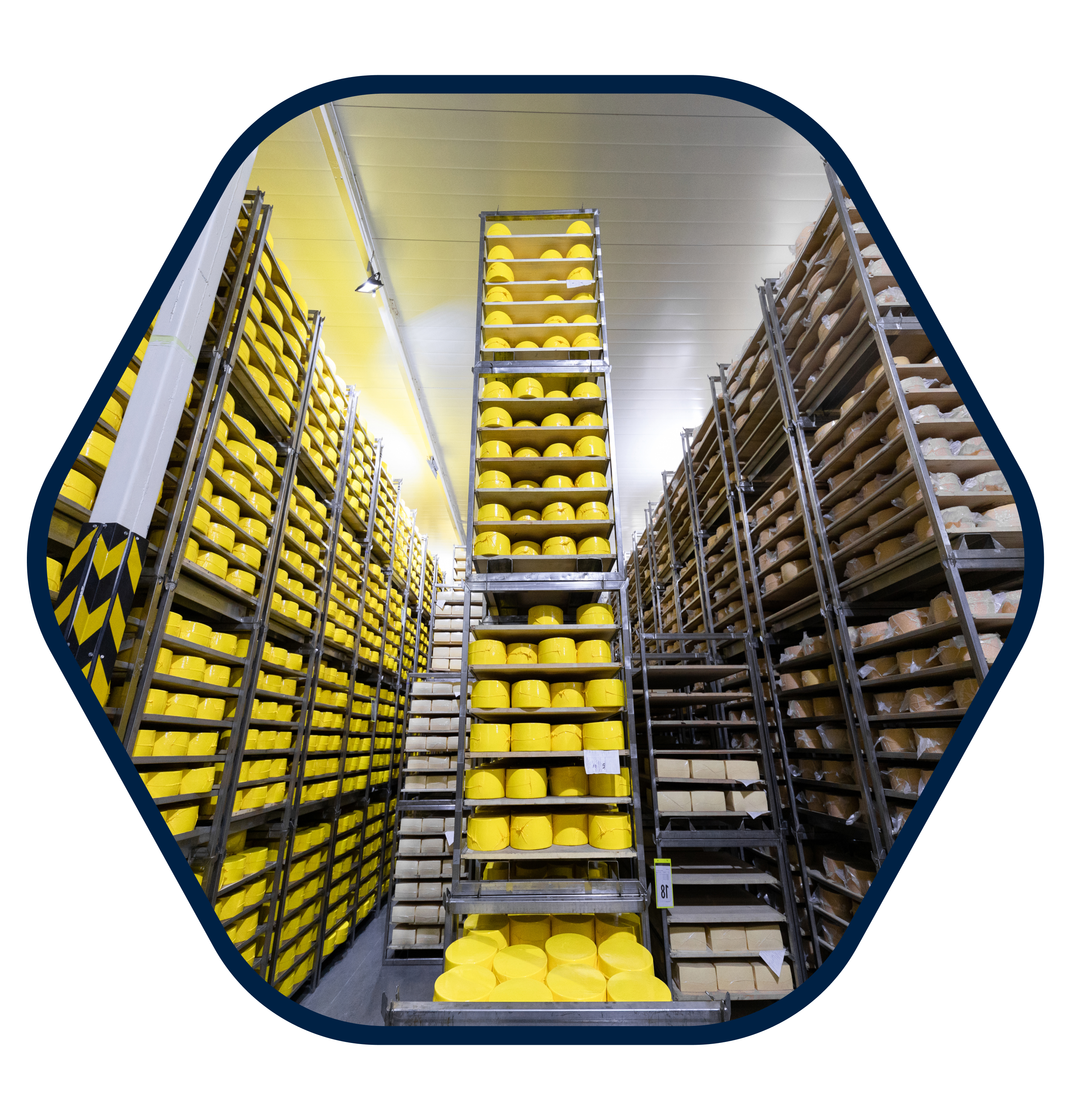 automated storage and retrieval system manufacturers in india