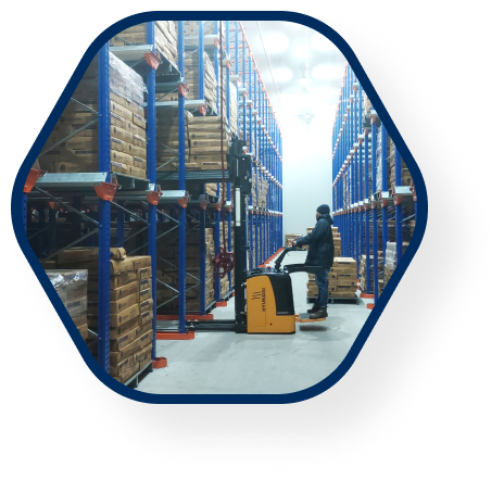 best cold storage company in India